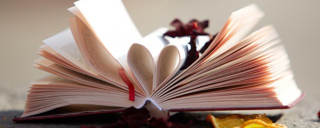 提前本科批的解释(本科提前批指的是什么)