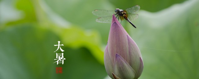 大暑文案简短有哪些(大暑走心文案)