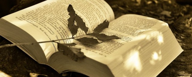 世界闻名的闻解释(世界闻名的意思是什么)