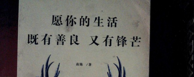 沉白作者简介是怎样的(沉白女作家简介)