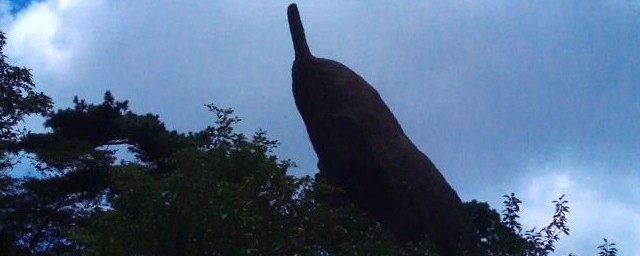 黄山海豚石介绍(描写黄山海豚石的句子)