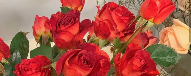 朋友圈的温柔文案有哪些(适合朋友圈的温柔文案)