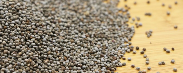 吃苏子籽有什么禁忌(吃苏子籽有什么作用)