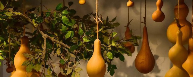 种葫芦结出大葫芦的方法(葫芦怎么养才能结葫芦)