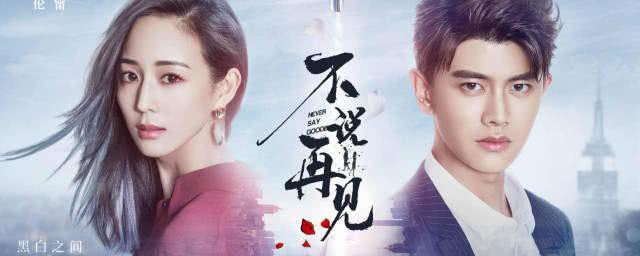 不说再见讲了什么(不说再见内容)