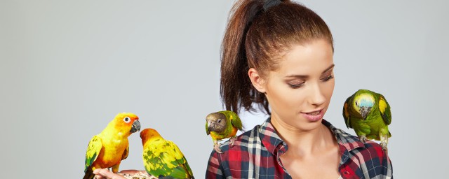 千山鸟飞绝万径人踪灭是什么意思(千山鸟飞飞绝万径人踪灭 意思)