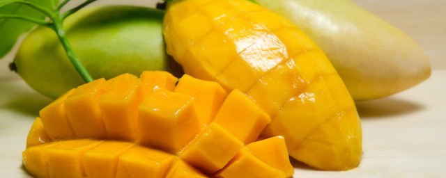 芒果如何嫁接(芒果嫁接技术 芒果嫁接方法)