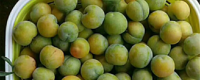 蜂糖李的营养价值是什么(蜂糖李的营养价值)