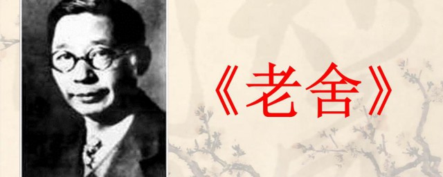 老舍的作者介绍(老舍的作者有哪些)