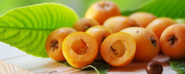 你爸今晚必在亭中种枇杷树的解释(你爸爸种的枇杷树已经亭亭如盖了)