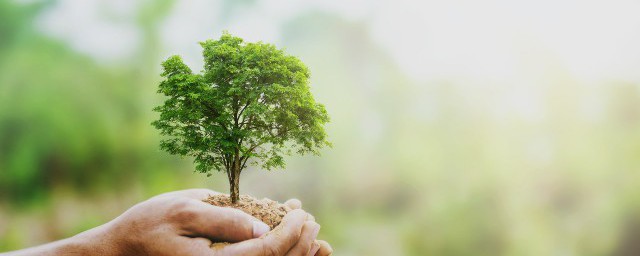 世界环境日的含义(关于世界环境日的介绍)