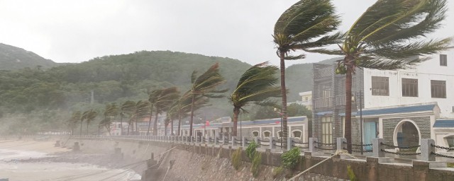 查帕卡是台风吗(台风 查帕卡)