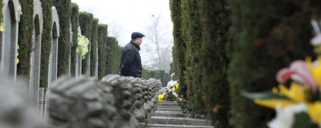 先人墓前去祭扫的先人的含义(先人墓前去祭扫的前一句)