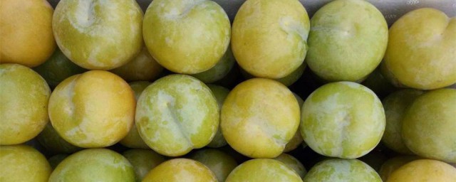 蜂糖李有什么功效(蜂糖李的功效)