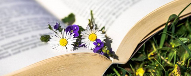 基金的单位净值和累计净值解释(基金单位净值和累计净值怎么理解?)