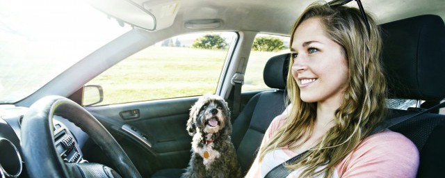 机动车违反禁止标线指示具体是什么意思(机动车违反禁止标线指示的行为是什么意思)