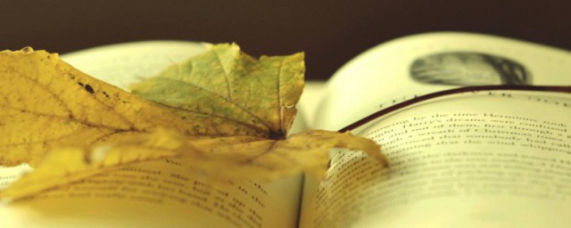 种树者必培其根种德者必养其心的解释(种树者必培起更种德者必养其心的意思)