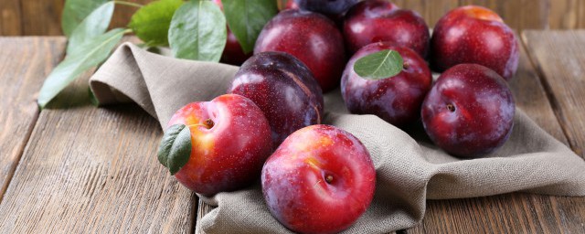 关于蜂糖李的特点介绍(蜂糖李区别)