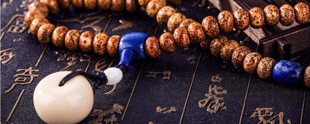 菩提是什么(菩提是什么意思含义)