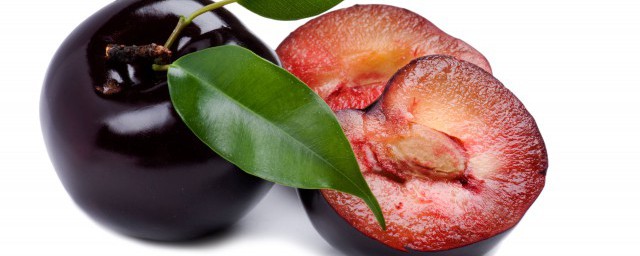 六马蜂糖李的介绍是什么(六马蜂糖李的创始人是谁)