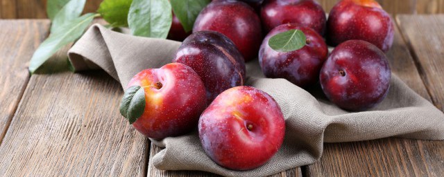 关于蜂糖李的简介(蜂糖李蜂糖李)