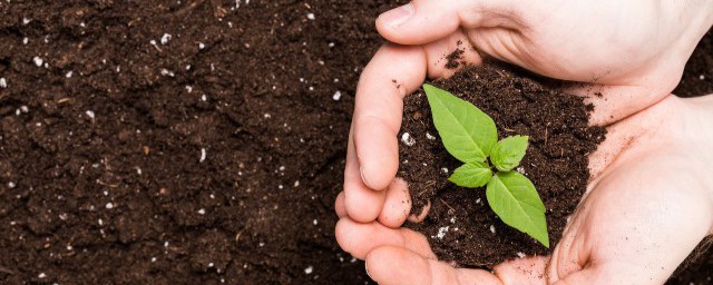 什么是石灰氮消毒法(消毒用石灰)