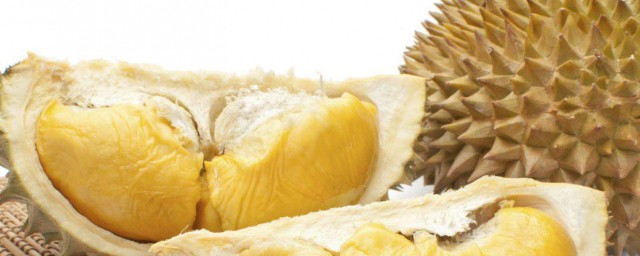 榴莲介绍(大象牌金枕头榴莲介绍)