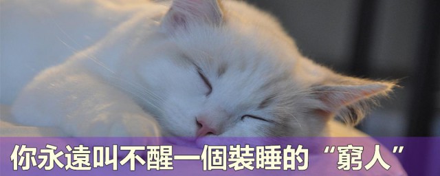 你永远叫不醒一个装睡的人的意思是(你永远叫不醒装睡的人是什么意思)