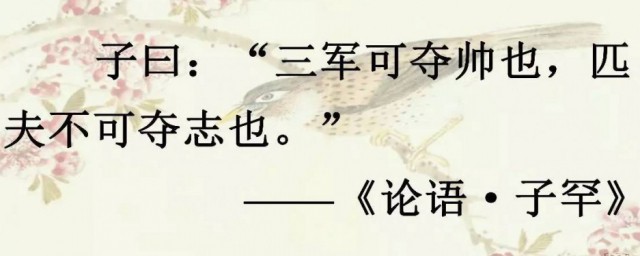 三军可夺帅也匹夫不可夺志也出自哪里(三军可夺帅也匹夫不可夺志也出自什)