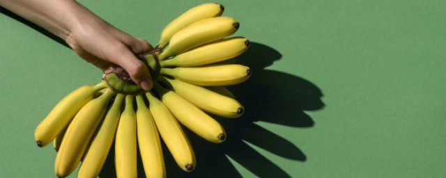 香蕉和芒果可以一起吃吗(香蕉和芒果可以一起吃吗孕妇)