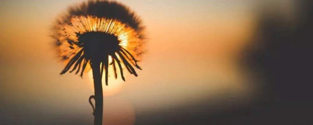 文案温柔超仙文案句子(很仙很温柔的文案)