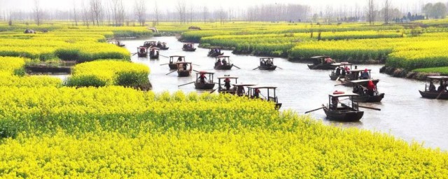 鱼米之乡说的是哪儿(鱼米之乡是哪儿?)