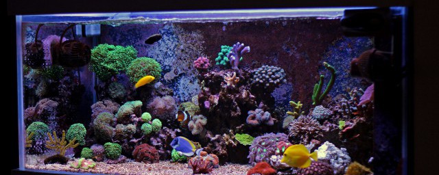 正方形的物体介绍(正方形物体)