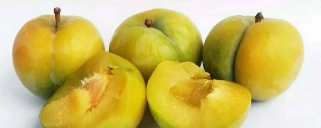 什么是蜂糖李(蜂糖李有蜂糖吗)