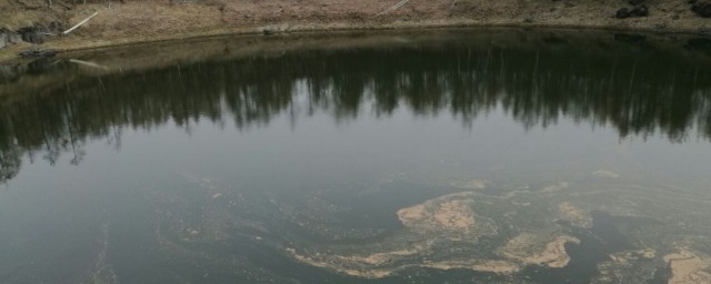 死水意思是什么(《死水》意思)