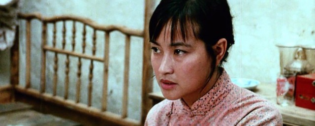 电影芙蓉镇剧情介绍(芙蓉镇这部电影主要讲什么)