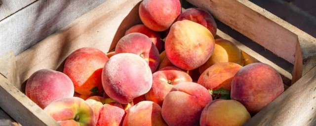 芒果和桃能不能一起吃(芒果能和桃一起吃吗?)