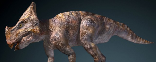 恐龙种类都有哪些(恐龙都有哪种种类)