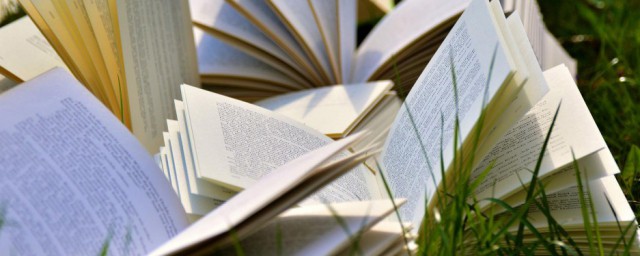 理想生活需要一点热爱和心动含义(理想的生活需要一点热爱)