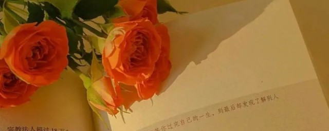 关于温柔干净治愈的文案(温柔文案干净治愈长篇)