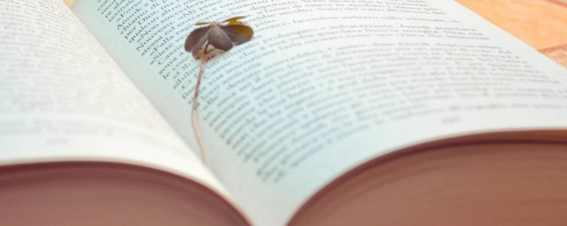 仙到极致的温柔句子(仙到极致的温柔句子有出处)