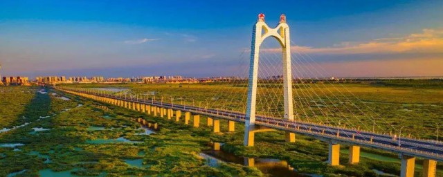 大庆的特点介绍(黑龙江大庆的特色)