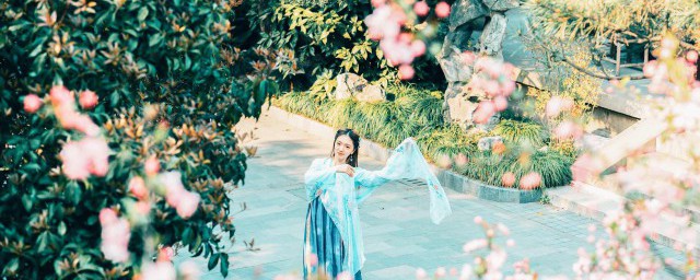 诗歌的审美教育作用有哪些(文学的审美教育作用有认识作用教育作用)