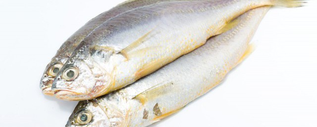 怎么做红烧鲈鱼(红烧鲈鱼怎么做最好吃窍门)