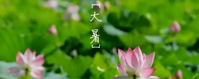 大暑介绍(大暑介绍英文)