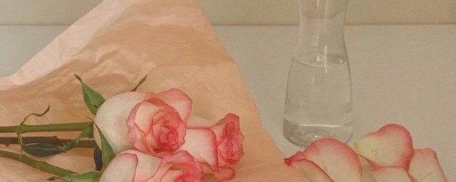 小众却惊艳的文案有哪些(小众但惊艳的文案)