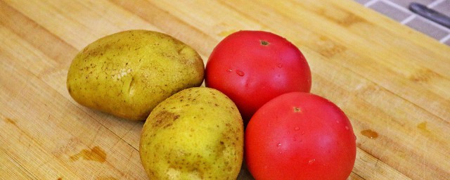 西红柿简介(新疆普罗旺斯西红柿简介)