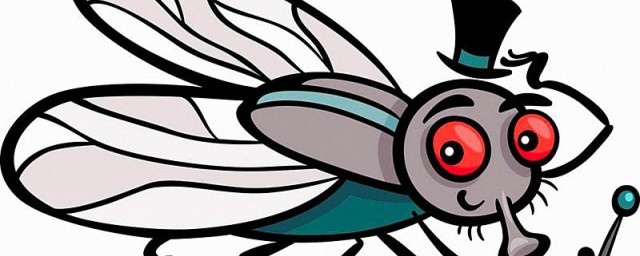 盘点有哪些六条腿的动物(哪种动物六条腿)