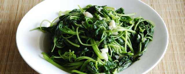 苋菜介绍(关于苋菜的资料)