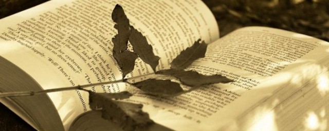 打立秋方法(怎么才算立秋)